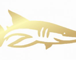 Шестой сезон Премии «Золотая акула»