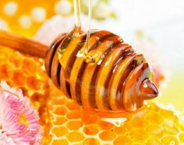 Свежий, вкусный мед на выставке «Уральское застолье. Фестиваль молодого меда»