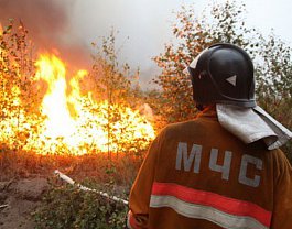 На Южном Урале повысят штрафы для нарушителей правил пожарной безопасности