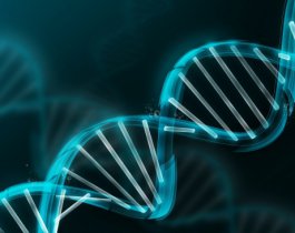 Ученым впервые удалось исправить дефектный ген
