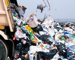  Жители Полетаево не хотят, чтобы у них устраивали мусорный полигон