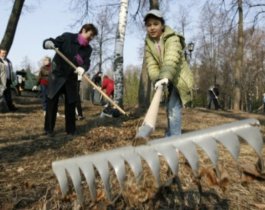 Экологи-активисты посчитали Челябинск самым грязным городом области