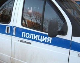 Пропавшие в Челябинске 11-летние братья найдены живыми