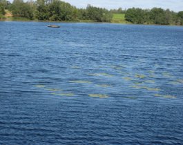 Женщина погибла, попав под моторную лодку на озере Калды