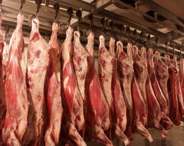 Не попавшие под санкции поставщики поднимают цены на мясо