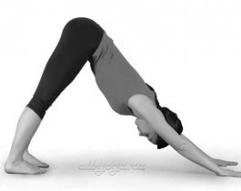 Как йога может разрушить ваше тело