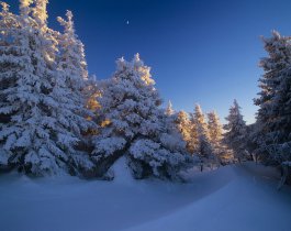 На Южный Урал возвращается зима. Ночные температуры опустятся до -24