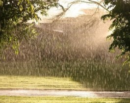 Синоптики пообещали южноуральцам теплые, но дождливые выходные