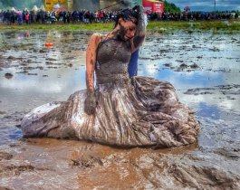 ��� ������ ������� ���-��������� ������/ ������� ������������, ���������� � ��������� "���������" 