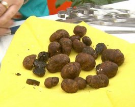 ��������� ����� ������� ��� ���������� / �� �������� �� �� ��������