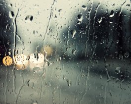 �����-�����...