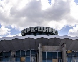 Челябинск соберёт лучших артистов цирка России