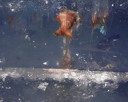 В ледяной глыбе для новогоднего городка в центре Копейска обнаружили замерзшую рыбу