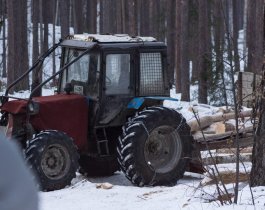 Активисты сфотографировали вырубку леса в охранной зоне озера Тургояк