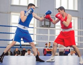В Саду Победы пройдет Всероссийский день бокса