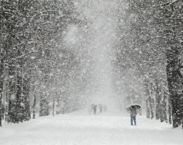 Погода в Челябинской области на понедельник, 14 января