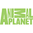 Animal Planet